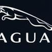 A.Jaguar