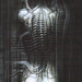 Giger-N Y City VI Torse