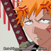 bleach10-163