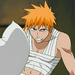 bleach ichigo0369