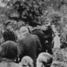 1943 - pohreb . Mája