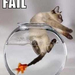 funny-picture-cat-fail