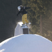 Ausztria:Snowboard