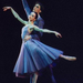 ballet  (17) (Medium)