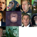 bush chimp