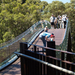 Kings Park 10