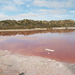 Pink Lake 044.jpg átm