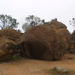 Wave Rock 073