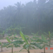 monszun