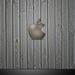 apple 79-1920x1200