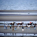 laytown-strand-races-489906-sw (Medium)