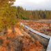 Derroura Forest Park (Co. Galway)