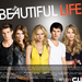 the cw the beautiful life poster