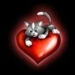 love-kitty