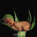 anne geddes