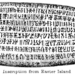 Inscription from Easter Island