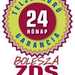 zds gari logo