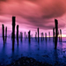 normal Dock Pilings, Boston Harbor, Massachusetts