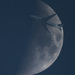 B744 D-ABVK Lufthansa @ Moon