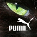 Puma Eye