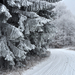 Bükk Mountains (Hungary) - Frozen world