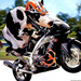 cow-on-motorcycle-funny-animal-wallpapers