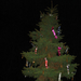 Karácsonyfa a Fő téren