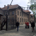 Album - Auschwitz-Birkenau 2007