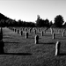 Német magyar katonai temető