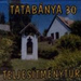 tatabanya30 01