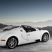 bugatti-veyron-grand-sport5