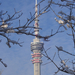 Tv tower