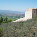 assisi06