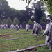 Washington Koreai Háború emlékmű