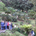 147 Kirstenbosch botanikuskert