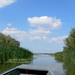 Tisza-tó zsákutca