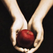 twilight book cover