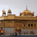 Amritsar: Aranytemplom