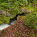 Paradise River, Mount Rainier National Park, Washington