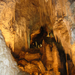 (110) Waitomo Caves