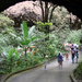 Rio Camuy cseppkőbarlang bejárata