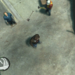 gtaiv-20081211-001637 (Small).png