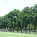 Cinquantenaire Park