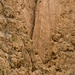A Todra Gorge