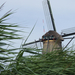 Kinderdijk 065