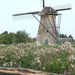 Kinderdijk 138