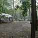 tabor2008 415 (Small)