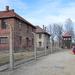 Auschwitz  0151