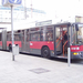 busz (37)