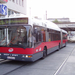 busz (36)